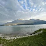 Viva-como *