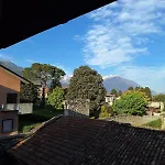 Viva-como *