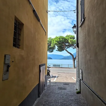 Viva-como * Domaso