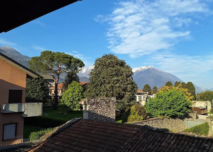 Viva-como *